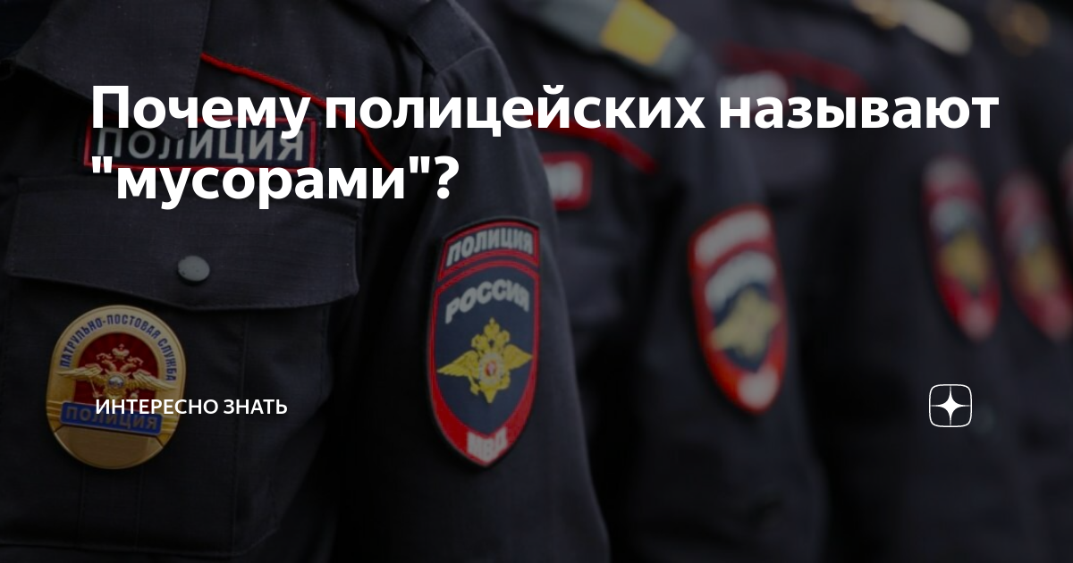 Мент, мусор, легавый» – почему так называют полицейских?