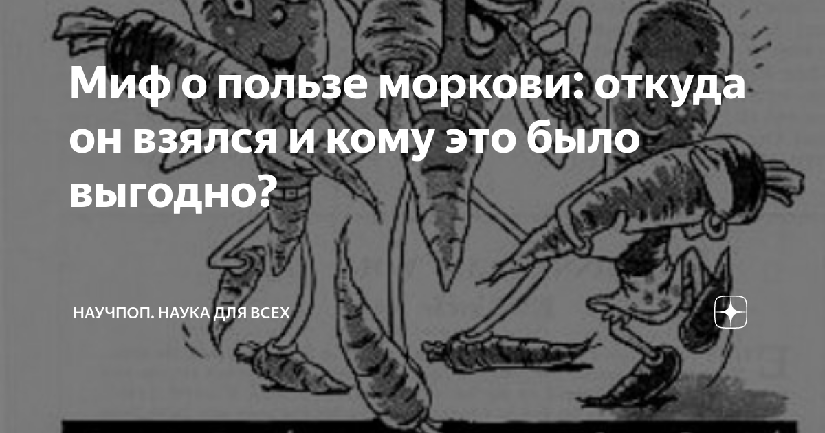 Мифы пользы морковки. Миф о продукте морковка. Откуда берутся семечки моркови.