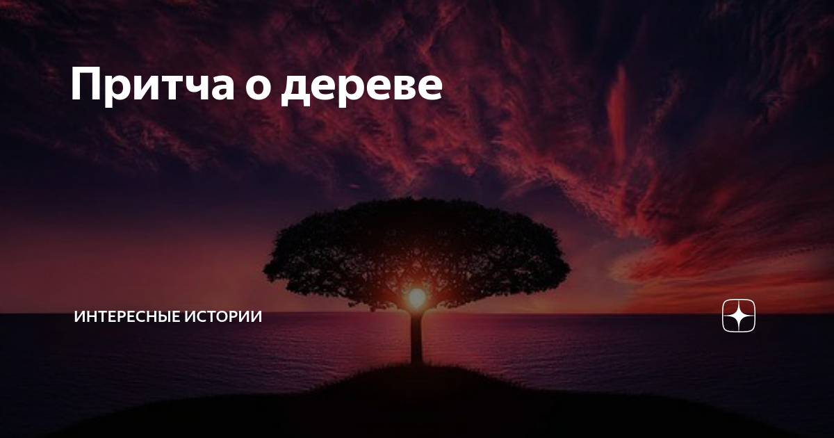 Фотожурнал Руазел. Страница 1166529