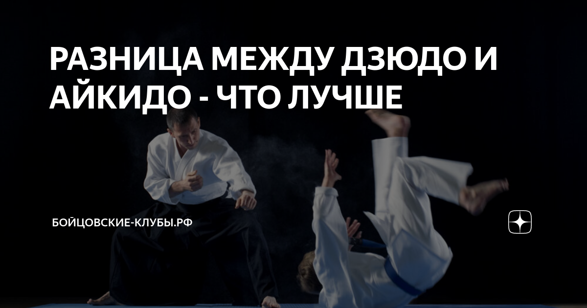 РАЗНИЦА МЕЖДУ ДЗЮДО И АЙКИДО - ЧТО ЛУЧШЕ | БОЙЦОВСКИЕ-КЛУБЫ.РФ | Дзен