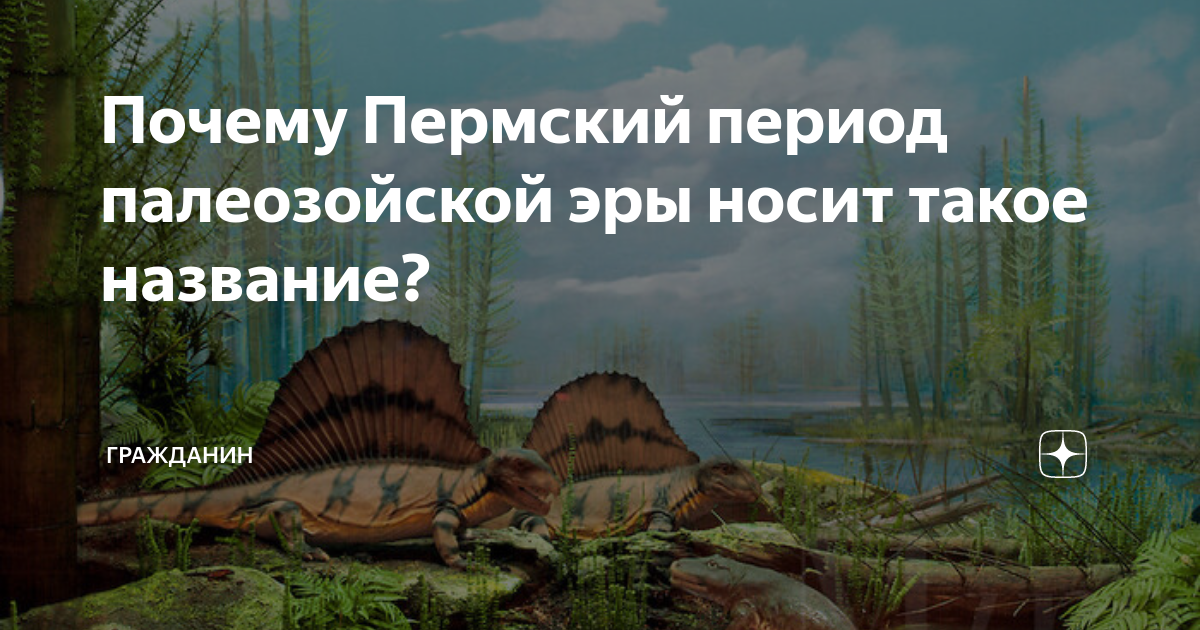 Пермский период название. Пермский период Пермь. Пермский период палеозойской эры животные. Почему Пермский период называется пермским. Пермь период.