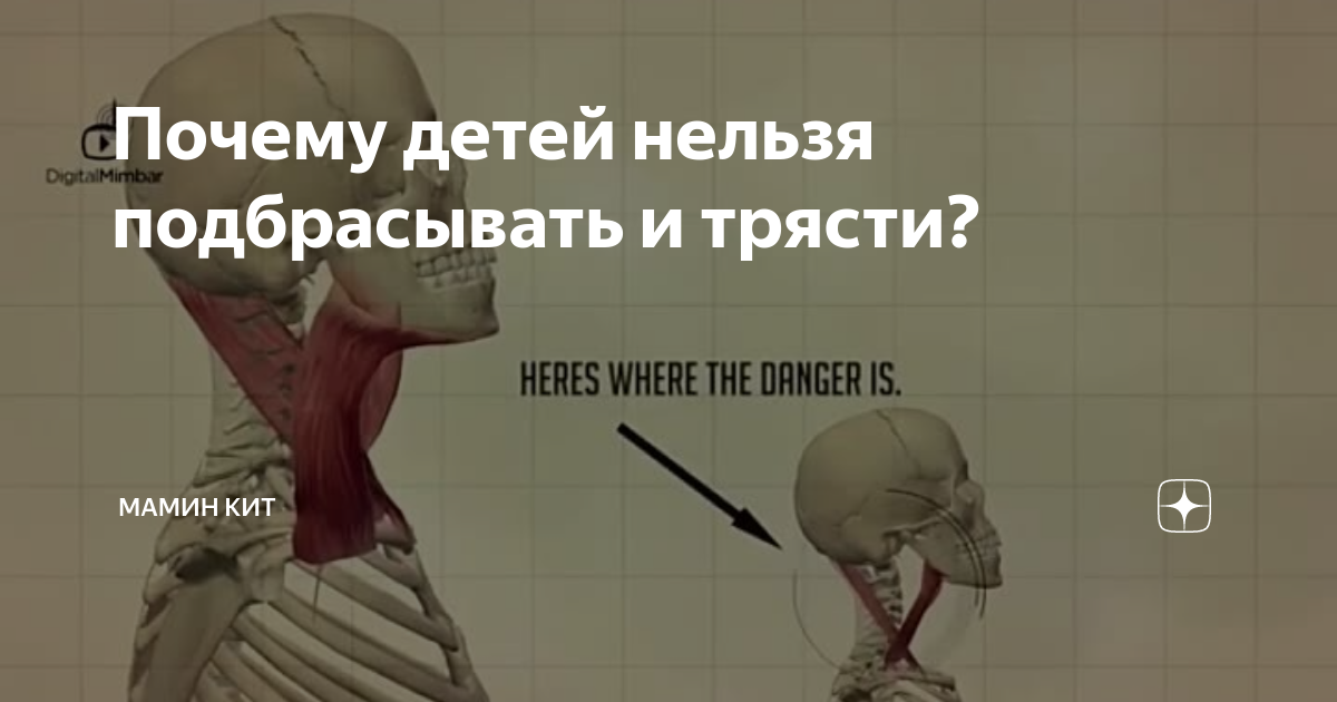 Почему детей нельзя подбрасывать вверх. Почему детей нельзя подбрасывать вверх. Подбрасывание ребенка вверх. Папа подбрасывает малыша. Родители подбрасывают ребенка.