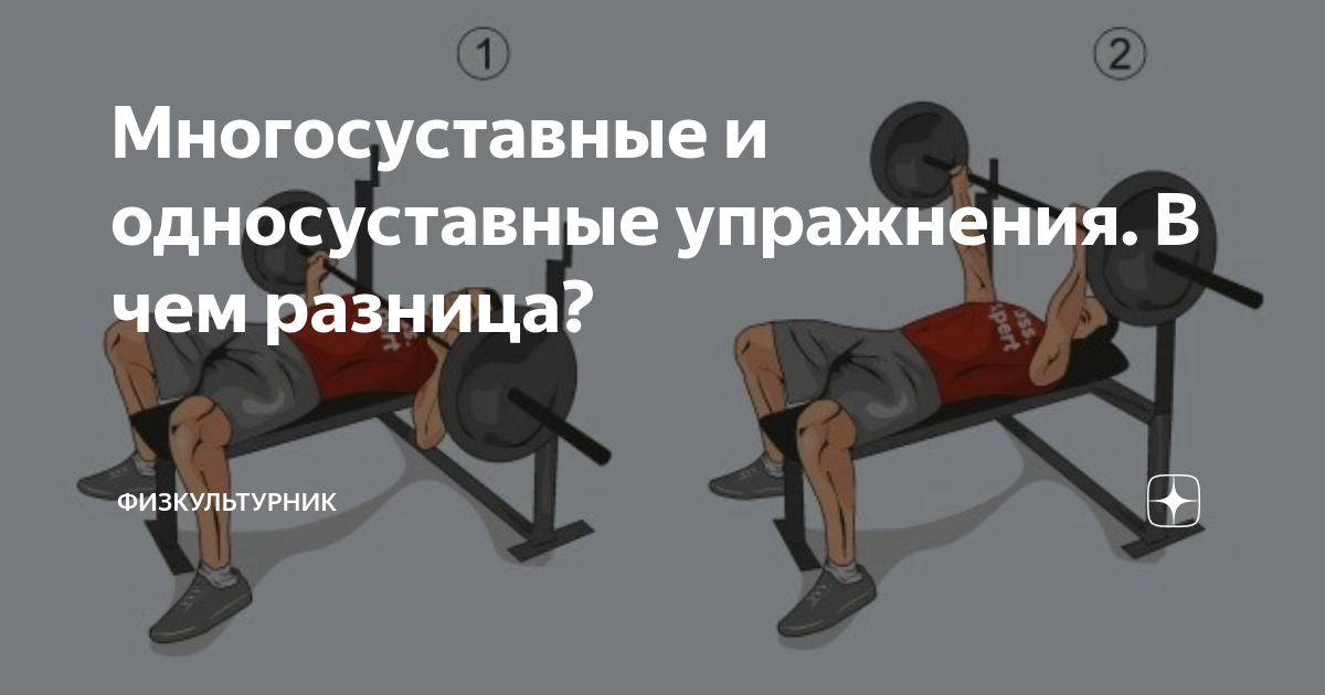 Многосуставные и односуставные упражнения. В чем разница?
