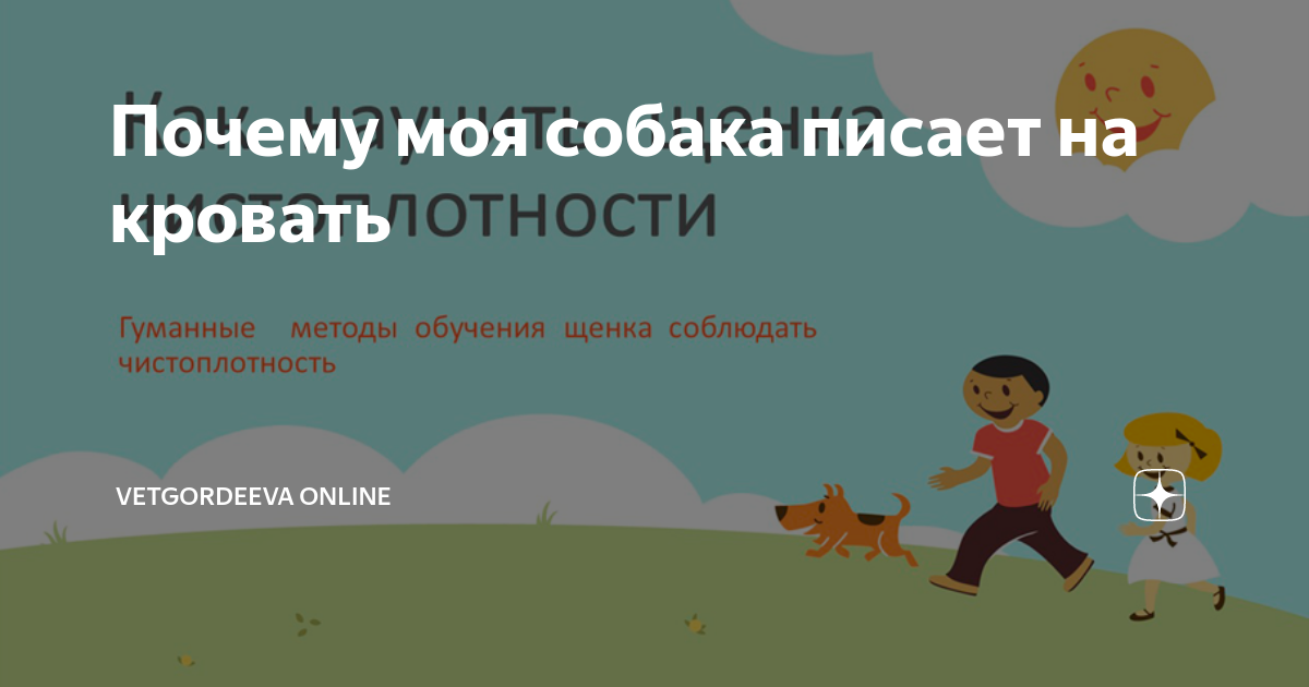 собака погрызла диван. собаки и мебель рваная. собака метит. собака нагадила на кровать. почему щенок писает на кровать.