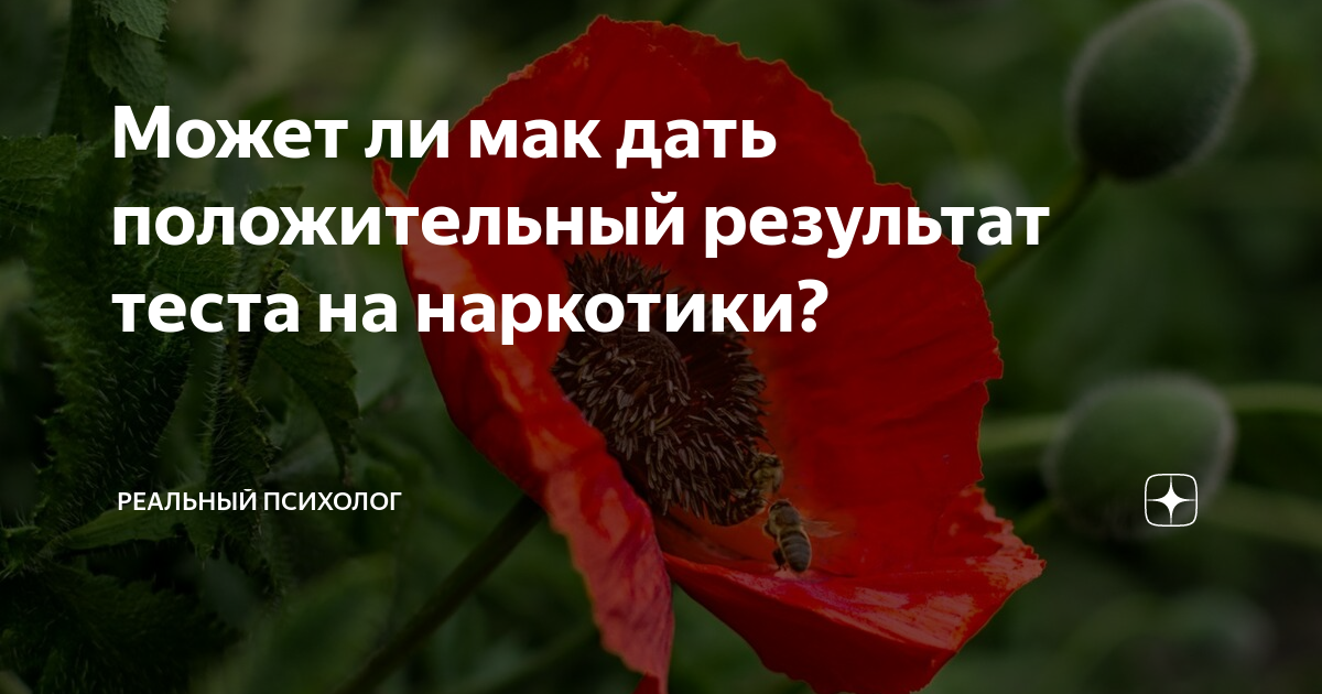 Работают ли мак. Мак дает положительный тест.