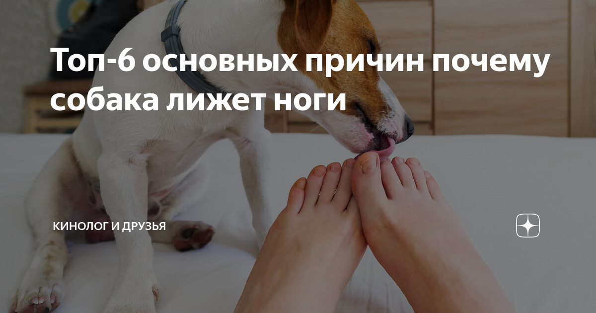 Ответы beton-krasnodaru.ru: Насколько унизительно лизать ноги?