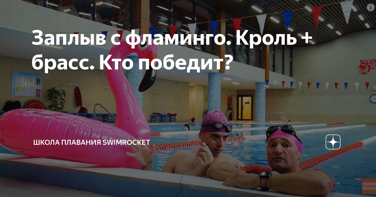 Заплыв с фламинго. Кроль + брасс. Кто победит? | Школа плавания ...