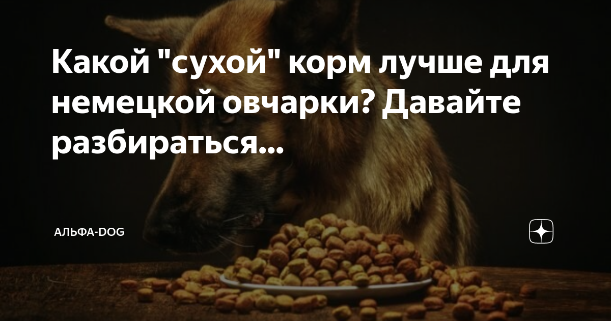 Какой "сухой" корм лучше для немецкой овчарки? Давайте разбираться ...