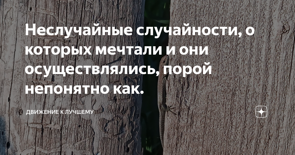 Они осуществляют. Забить гвоздь в яблоню. Ржавые гвозди в яблоне. Забивание гвоздя в яблоню. Гвозди в яблоню вбивают зачем