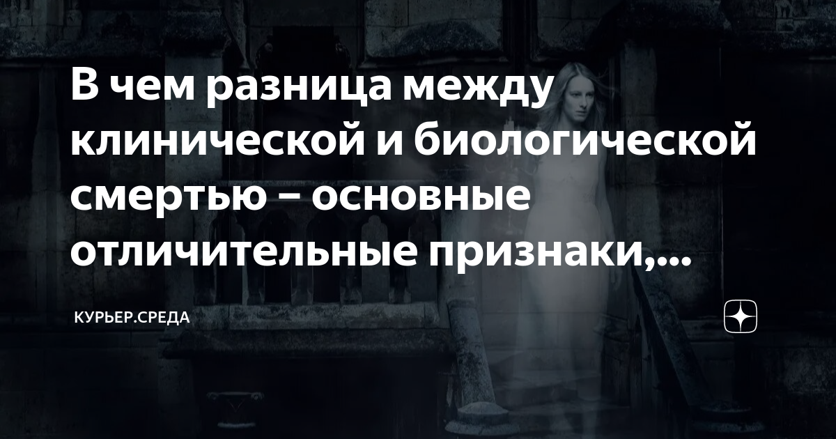 В чем разница между клинической и биологической смертью – основные ...