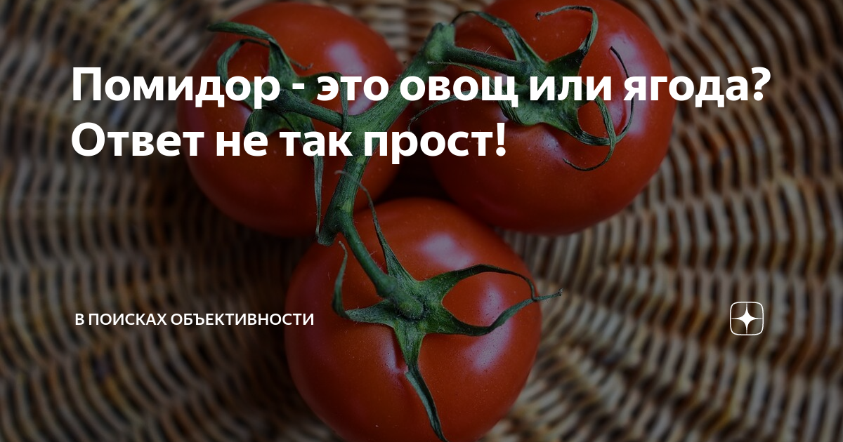 Помидор это овощ или нет. Помидор это ягода или овощ или фрукт. Овощи помидор. Помидор это ягода или овощ ответ. Томат это ягода или овощ.