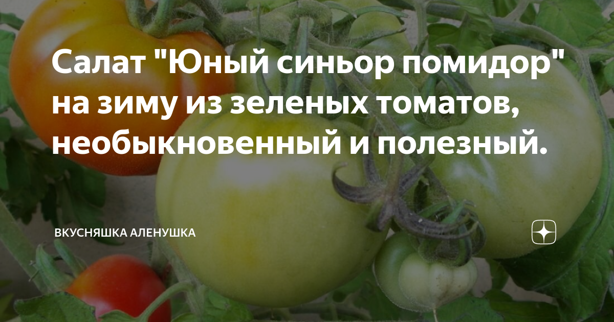 Салат «Сеньор»: не просто рецепт, а настоящая находка (два в одном, и салат, и сытный перекус)