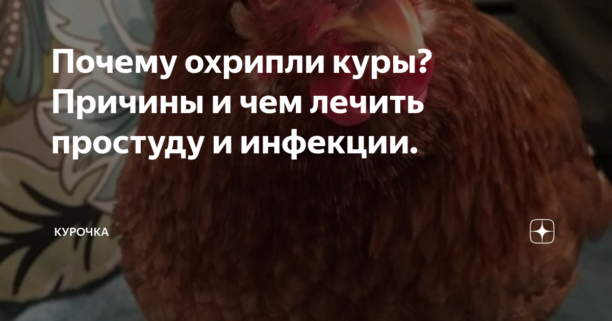 Используйте куриные добавки
