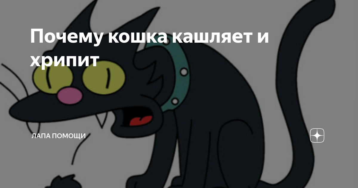 Кошка кашляет причины