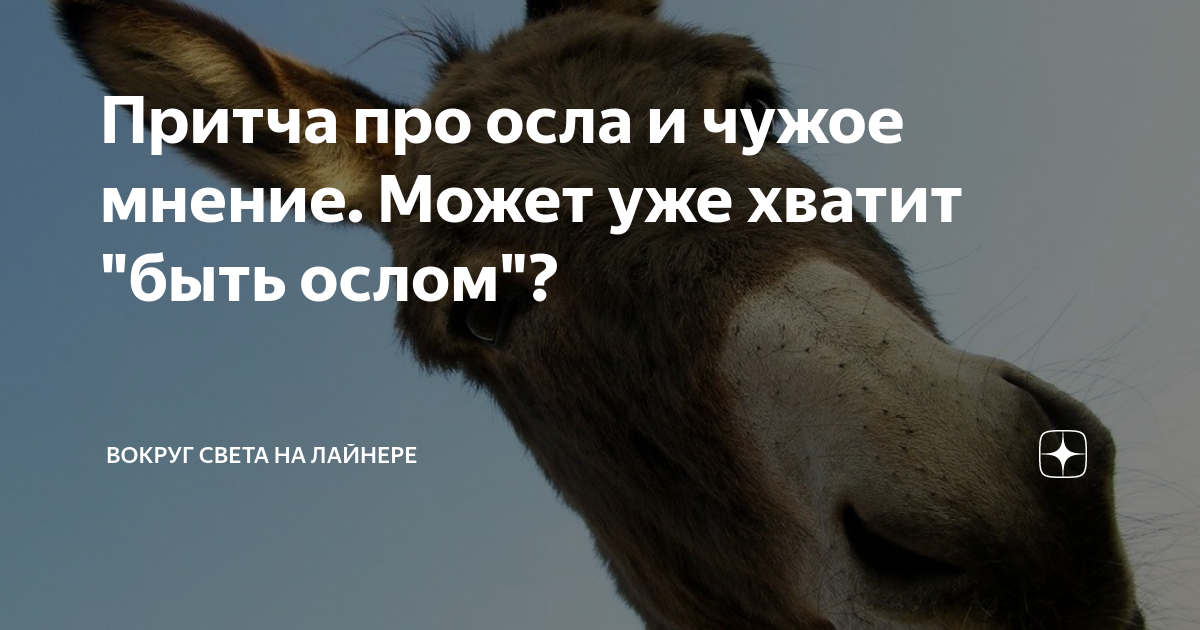 Притча про осла и тигра синяя. Притча про осла и чужое мнение. притча про осла. картинка про осла и чужое мнение.