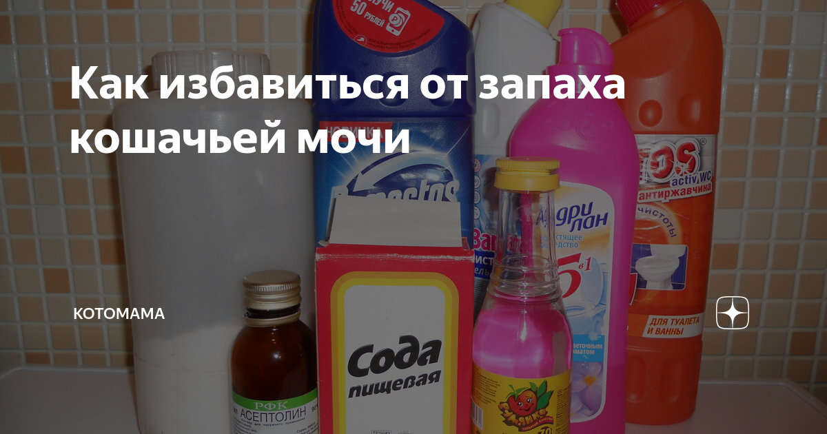 Диван воняет мочой как вывести