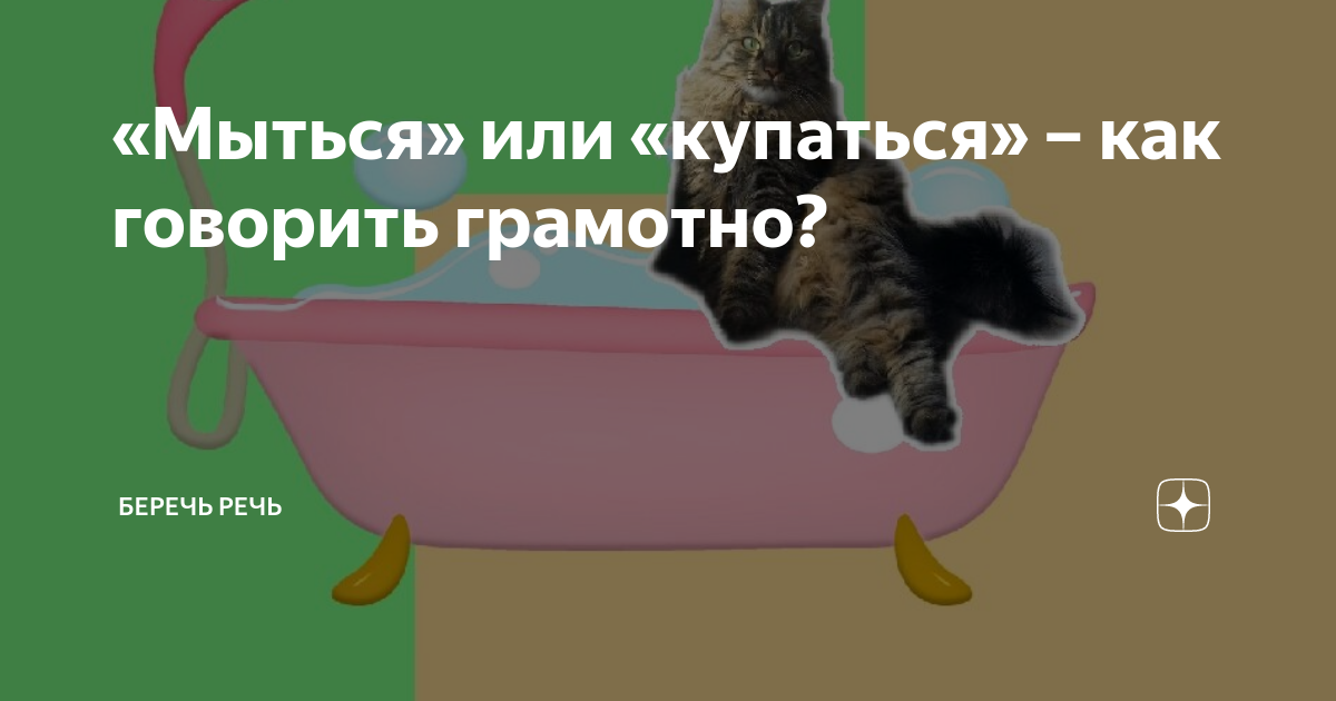 Помыться как пишется. Берегите речь. как пишется купаться. как пишется мыться. беречь речь.
