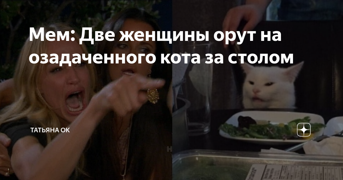 Откуда пошел мем, где две женщины орут на кота