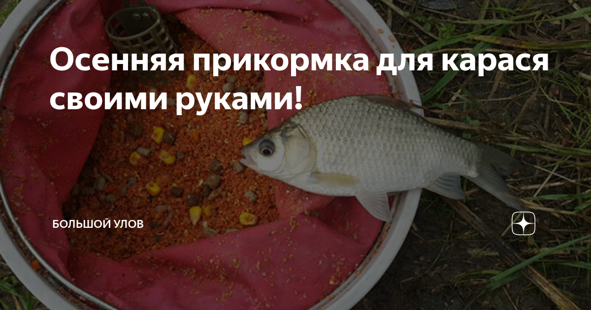 Какую приманку любит карась осенью Снасти для ловли крупного карася Рыбалка Лучший отдых Дзен