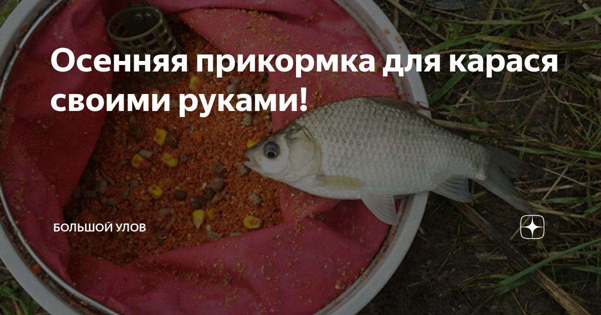 Приманка для карася своими руками