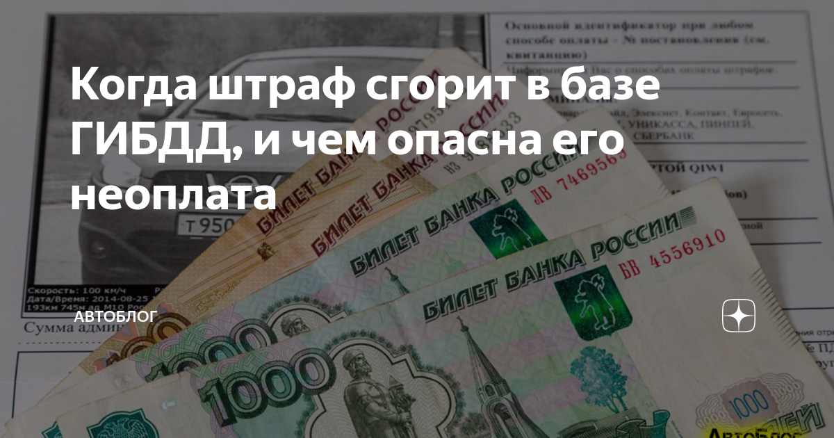 через какое время сгорают штрафы.