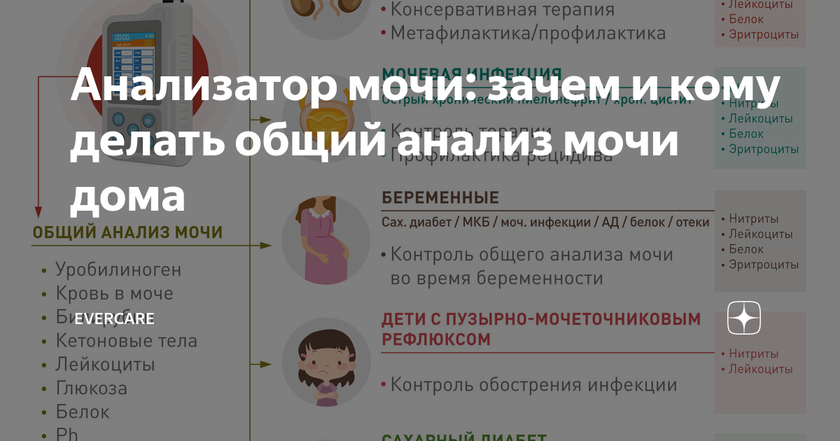 Анализы мочи во время беременности