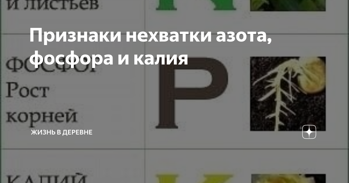 Признаки недостатка фосфора. Растения с дефицитом азота калия фосфора. Дефицит калия фосфора азота