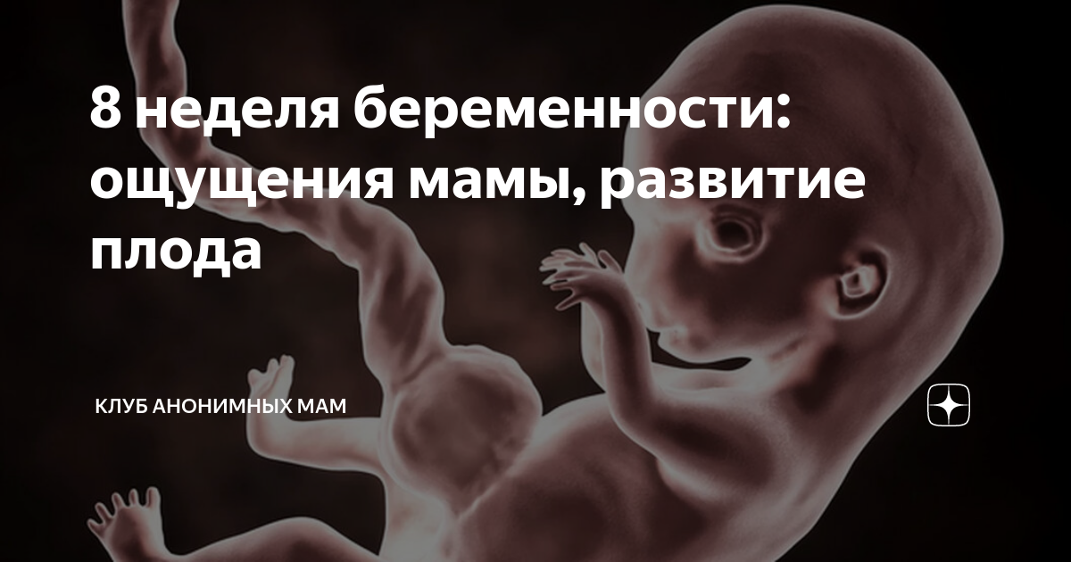 8 неделя беременности: ощущения мамы, развитие плода