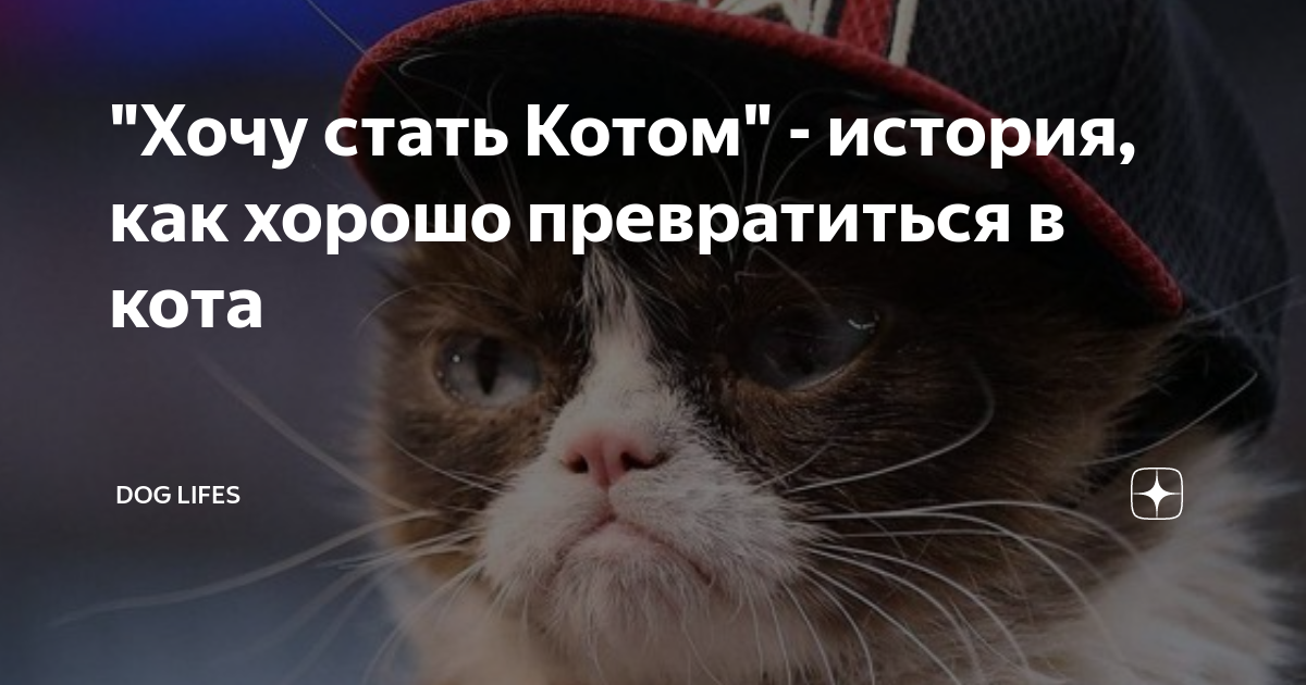 Стану котом