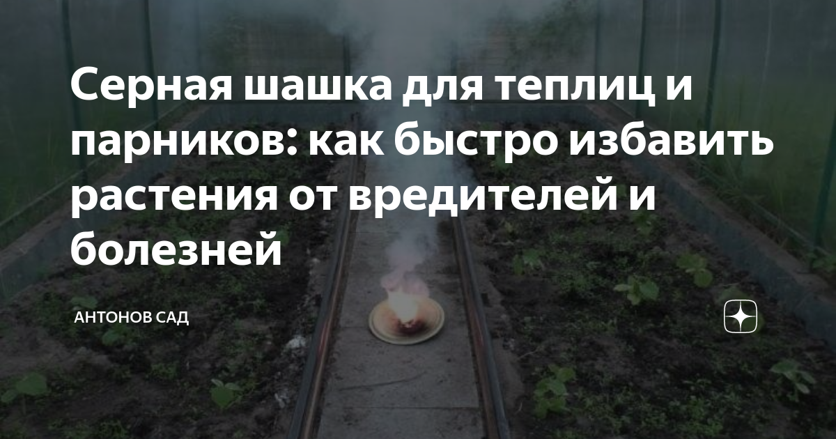 Серная шашка для теплиц и парников: как быстро избавить растения от ...