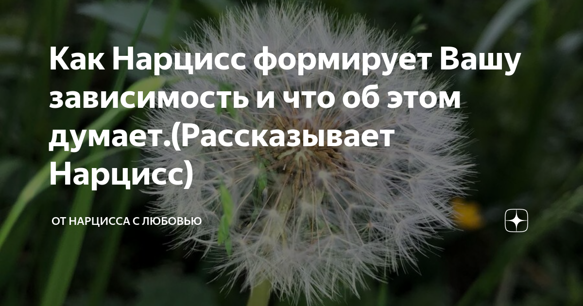 Утилизация нарцисса. Бегите от нарцисса. Как Нарцисс вызывает зависимость. От нарцисса с любовью дзен. Сбежать от нарцисса.