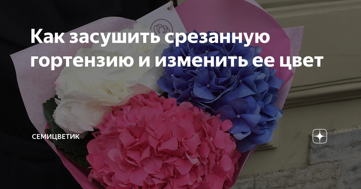 Как высушить цветы с сохранением цвета. Как высушить цветы с сохранением цвета