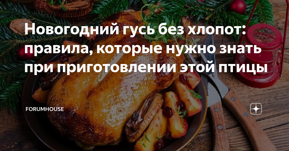 Новогодний гусь без хлопот: правила, которые нужно знать при ...