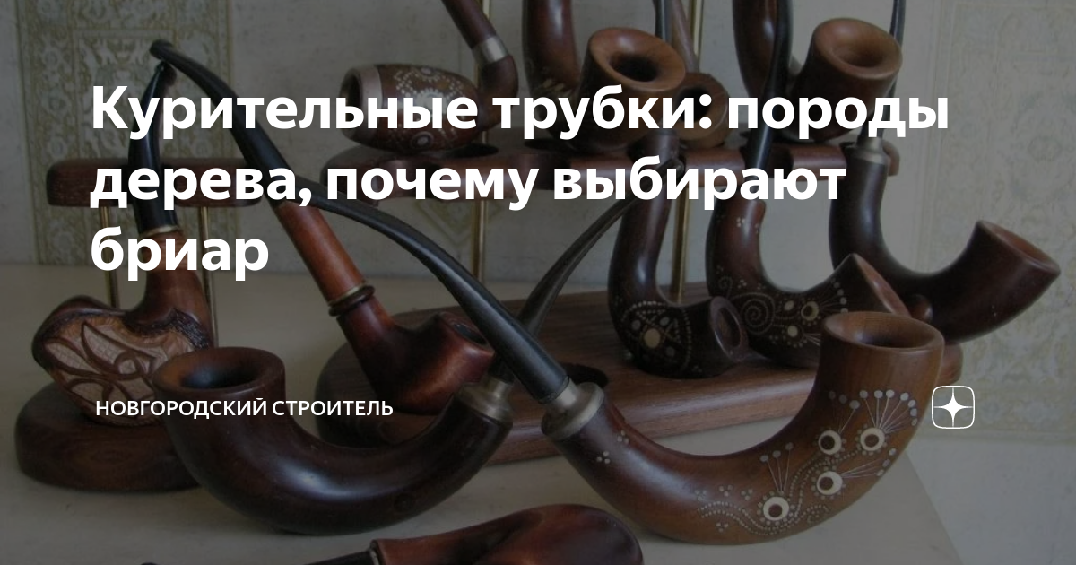Курительные трубки: породы дерева, почему выбирают бриар | Новгородский ...