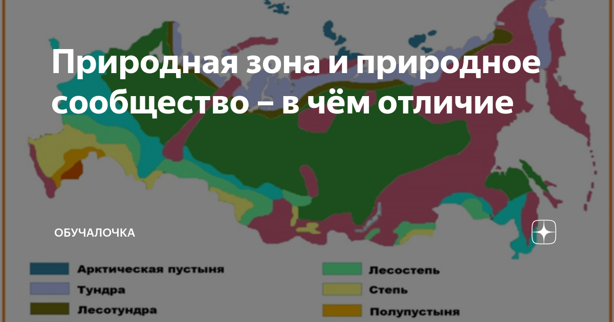 Вопросы по природных зон