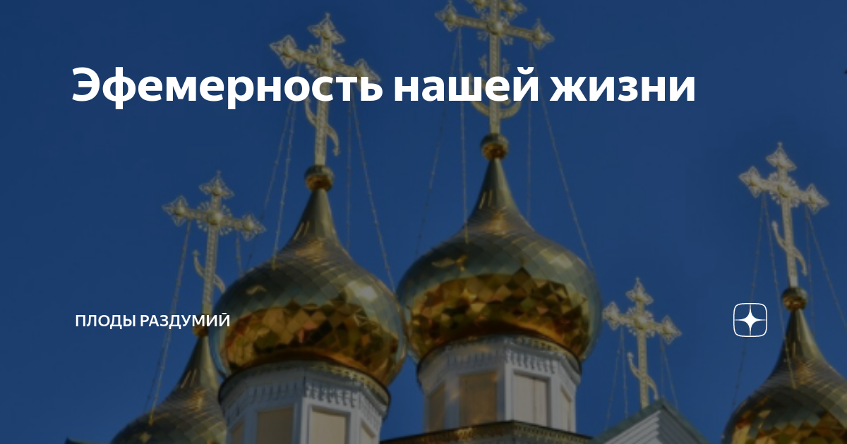 плоды раздумий дзен рассказ