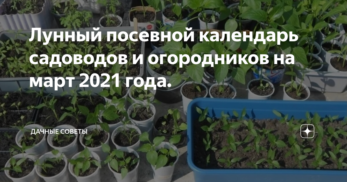 Лунный посевной календарь садоводов и огородников на март 2021 года ...