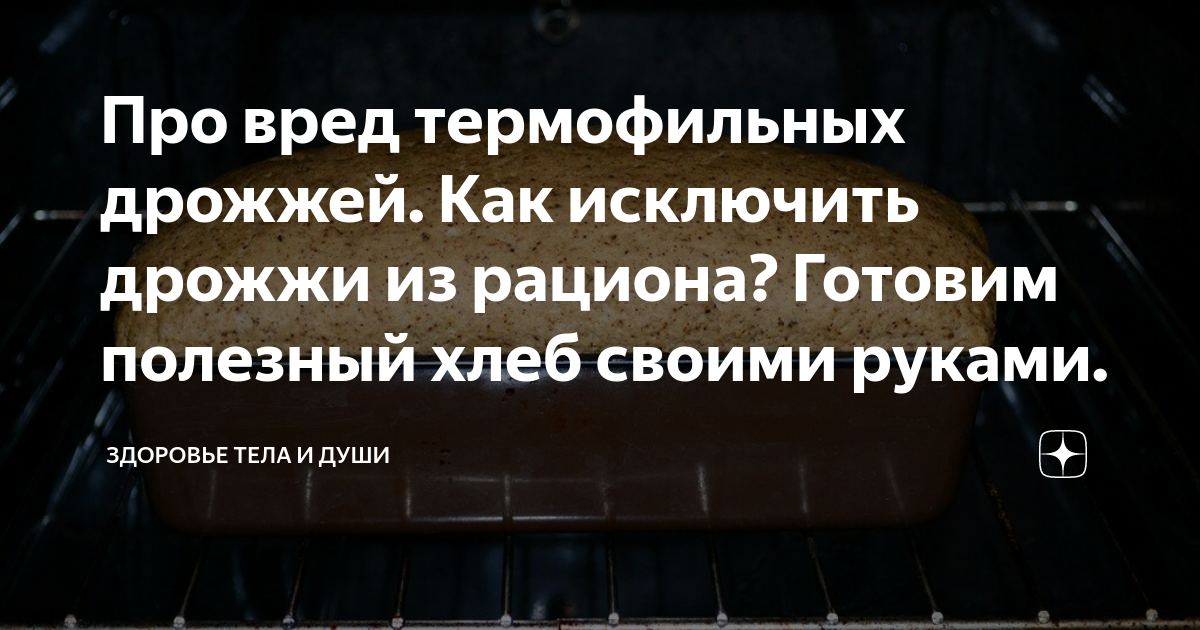 Про вред термофильных дрожжей. Как исключить дрожжи из рациона? Готовим ...