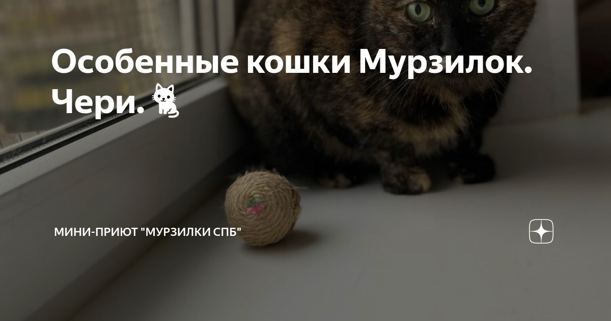 Сигма чери спб