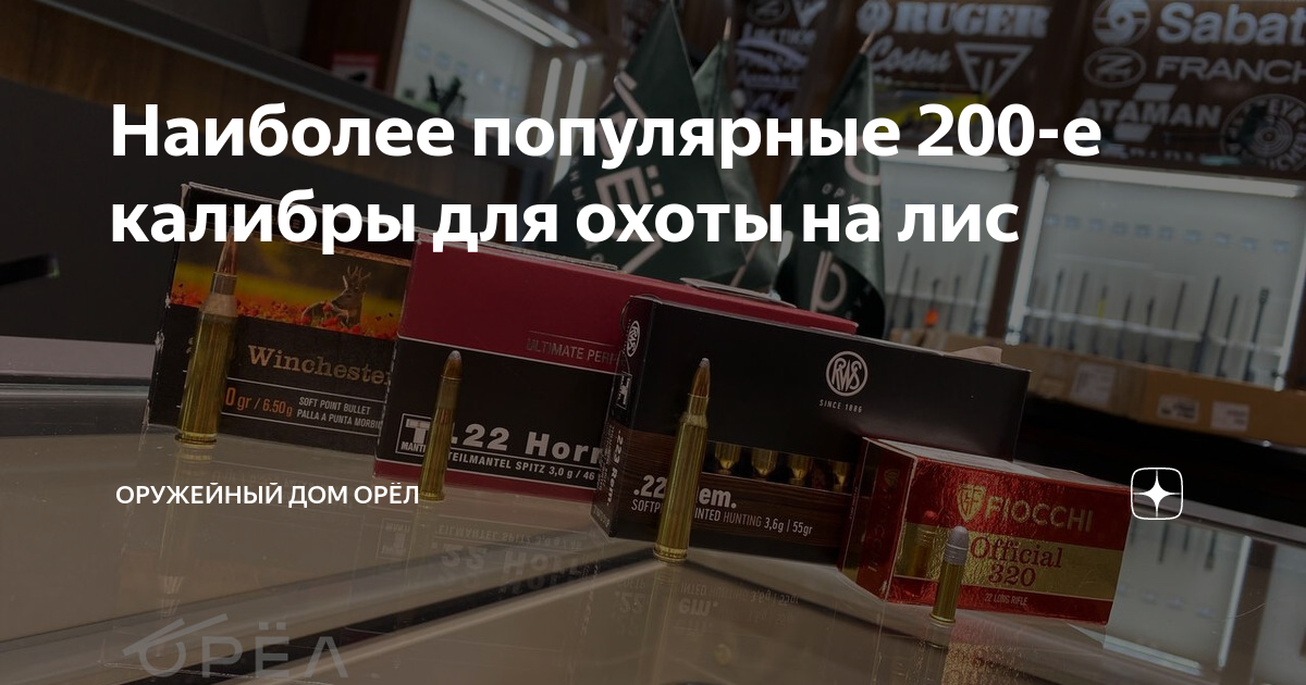 Наиболее популярные 200-е калибры для охоты на лис | Оружейный дом Орёл ...