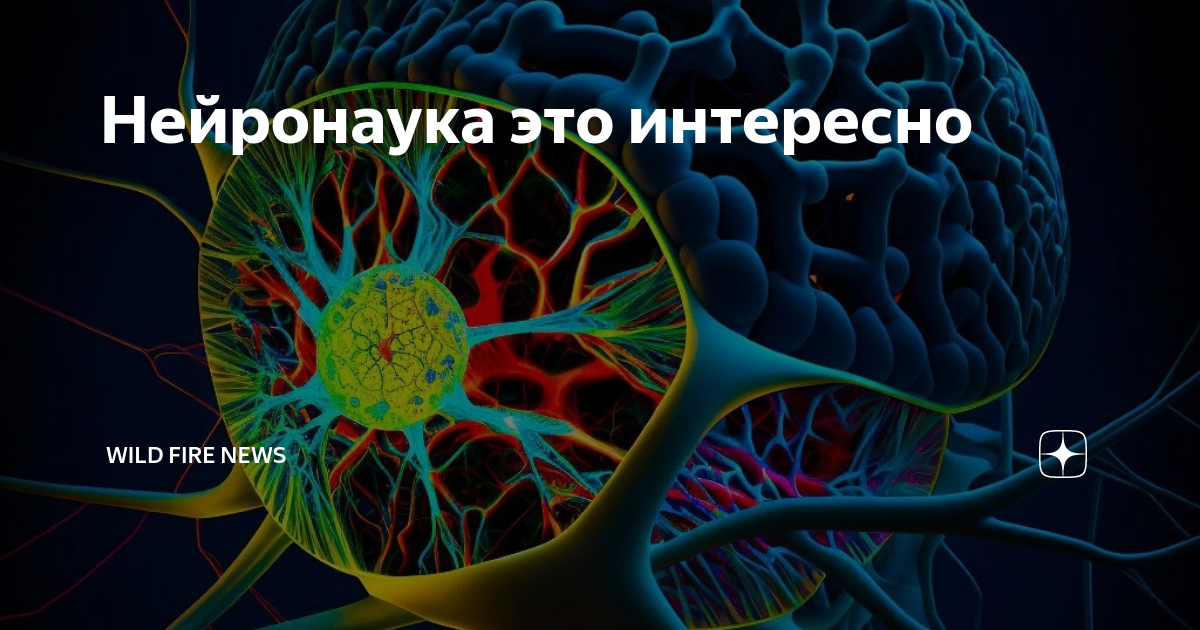 Нервная система человека. Нейронаука. Нейронаука картинки. Нейронауки мозг одежда.