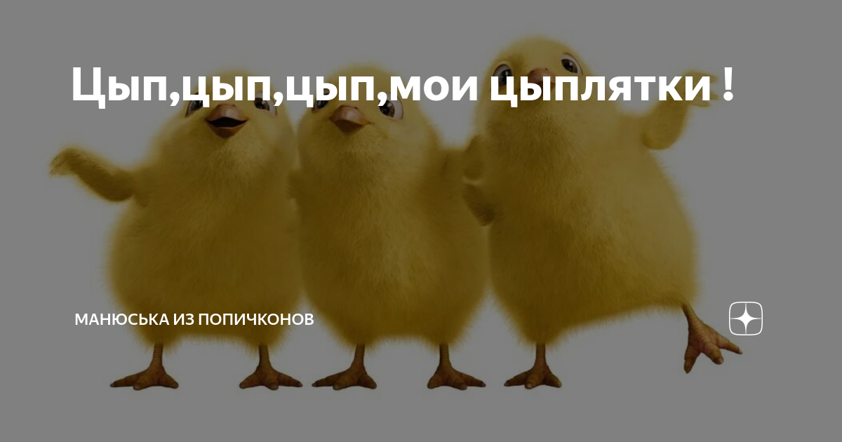 Манюська из попичконов телеграм канал. Цып цып цып Мои цыплятки. Цып-цып-цып Мои цыплятки фото. Рисование цып цып цып Мои цыплятки 2 младшая группа. Цыпа девочка.