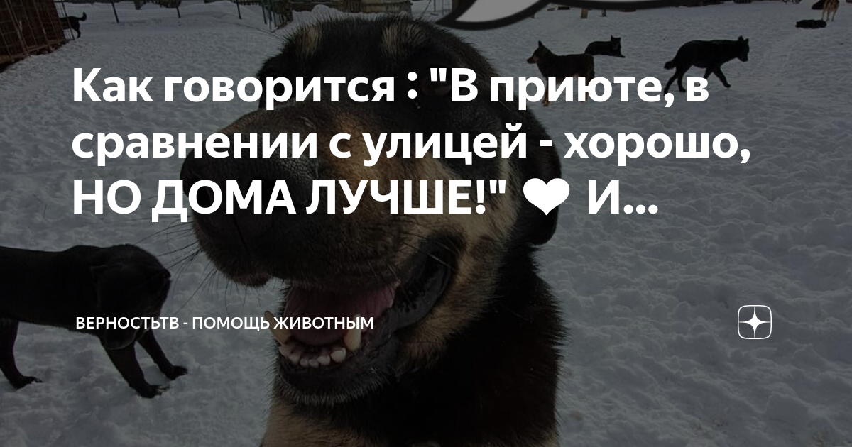 Приют верность смоленск. Каналы верности. Каналы верности. Каналы верности. Каналы верности.