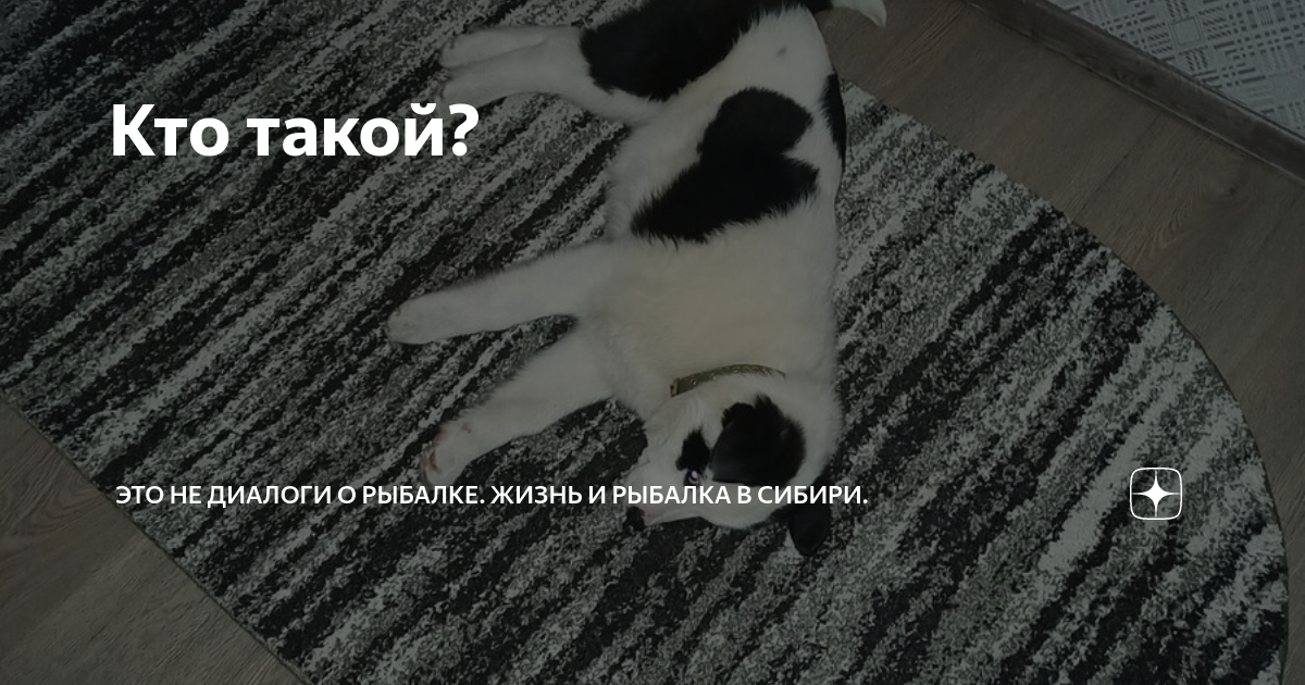 Кто такой? | Это не диалоги о рыбалке. Жизнь и рыбалка в Сибири. | Дзен