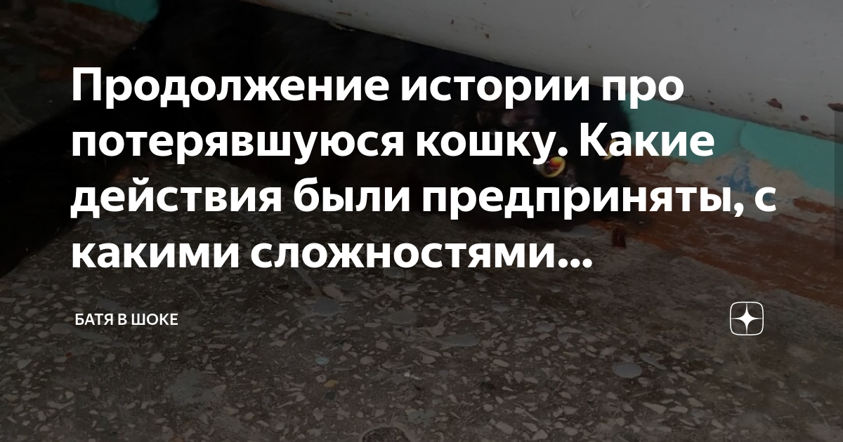 Какие действия были предприняты советским руководством с целью мобилизации для отпора врагу