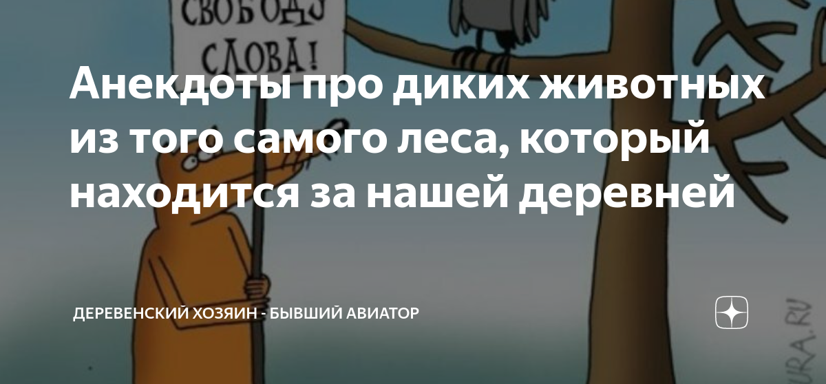 анекдот про зайца