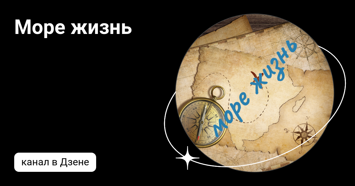 Море жизнь | Дзен