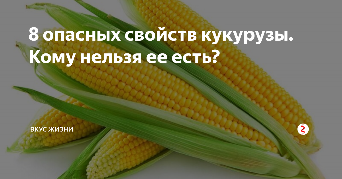 Сколько времени усваивается разная пища? - Доктор Позвонков