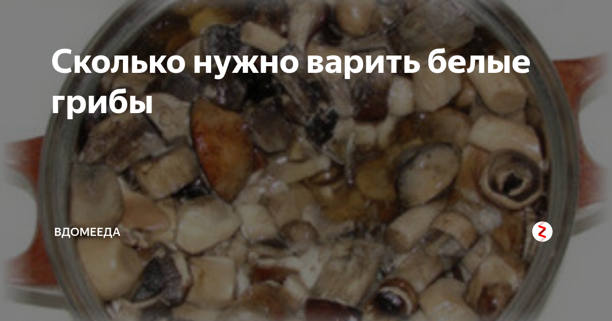 Сколько варить благородные грибы. Сколько по времени варится белый гриб. Сколько варить белые грибы для супа. Сколько отваривать белые