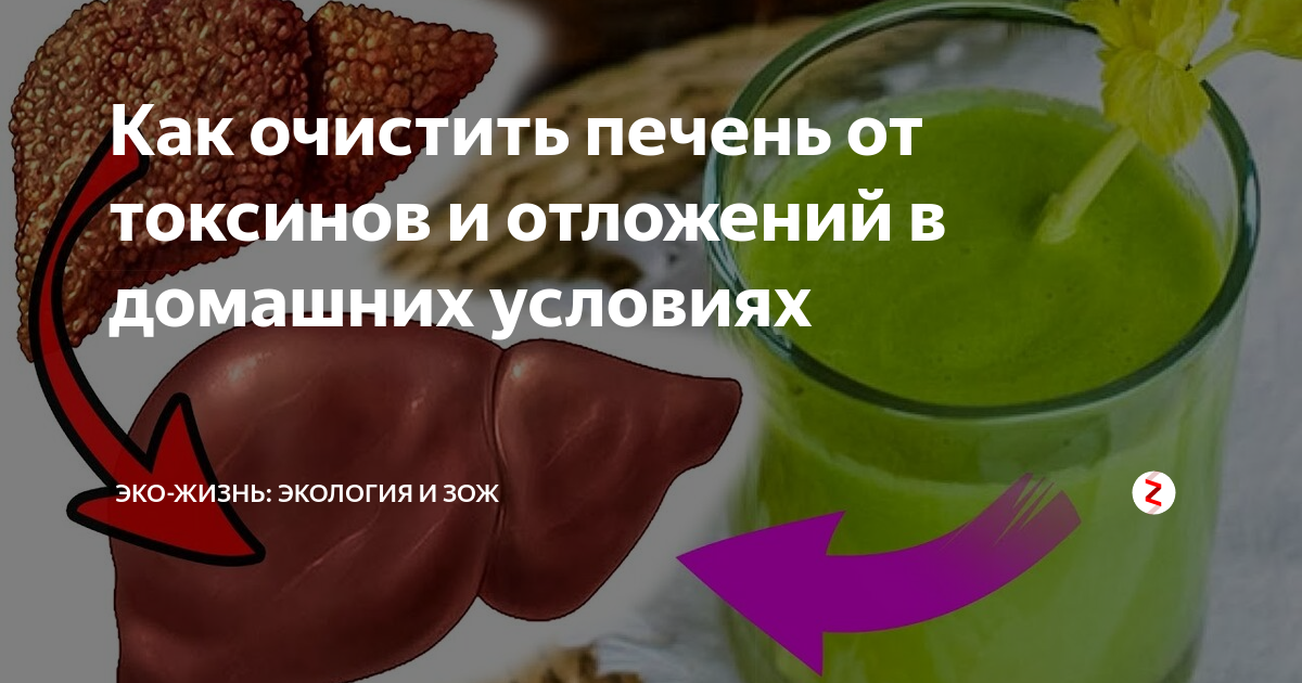 Очистка печени от шлаков. Очищение организма печени. Как очистить печень. Очищение печени от токсинов.